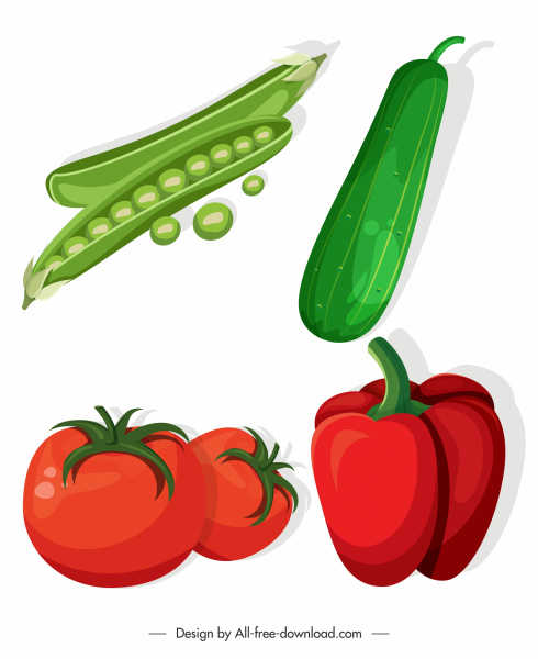 vegetais agrícolas ícones ervilha pepino chili esboço de tomate