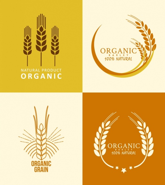 Agriculture, produits, logotypes, orge, icônes, flat design