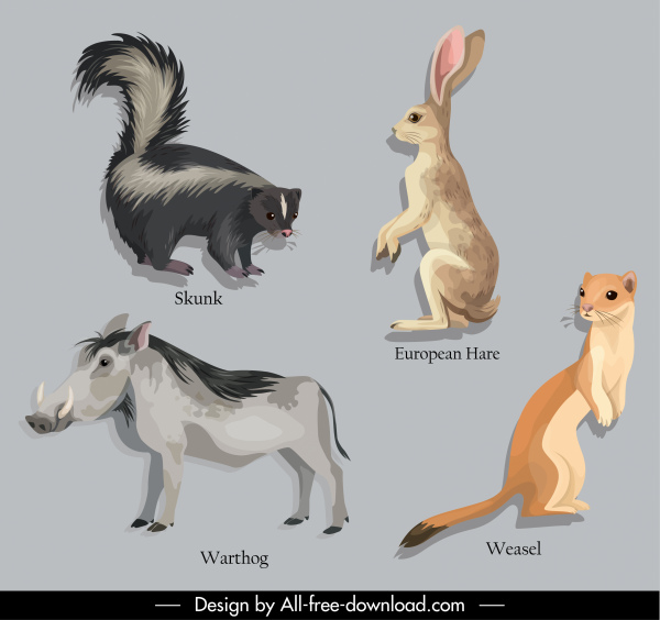 Éléments de conception de l’éducation animale Skunk Warthog lapin belette croquis