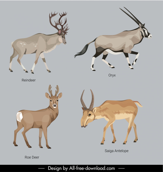 animales educación iconos dibujos animados pezuña especie boceto
