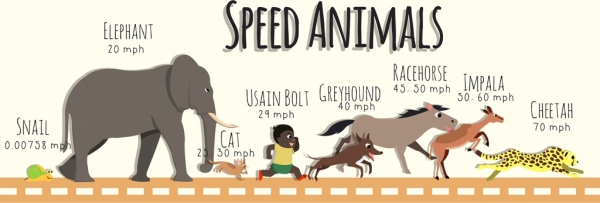 Animals Speed Analysis Background Colored Cartoon Decoration-vector  Background-free Vector Free Download