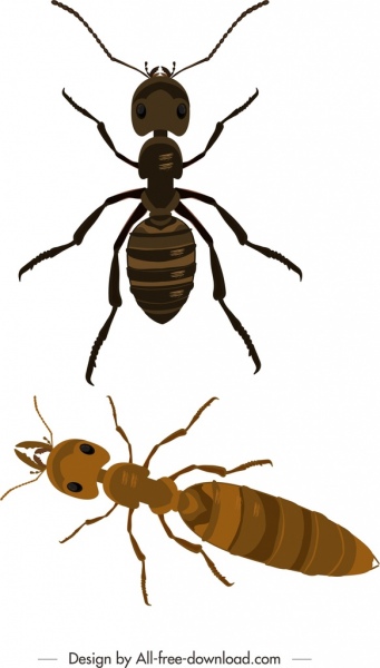 le formiche closeup colorato sfondo moderno