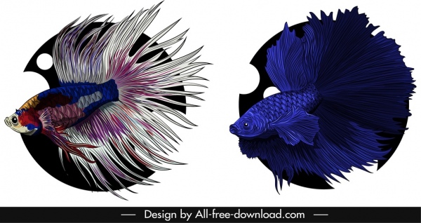Iconos de peces acuáticos elegante diseño de colores llamativos