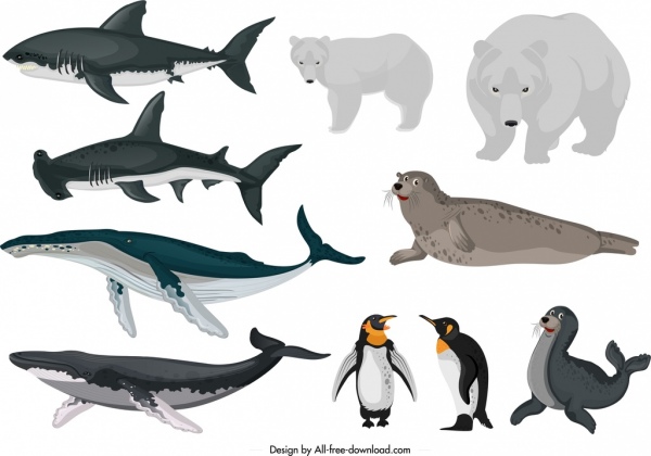 iconos de animales árticos peces osos pingüino foca boceto