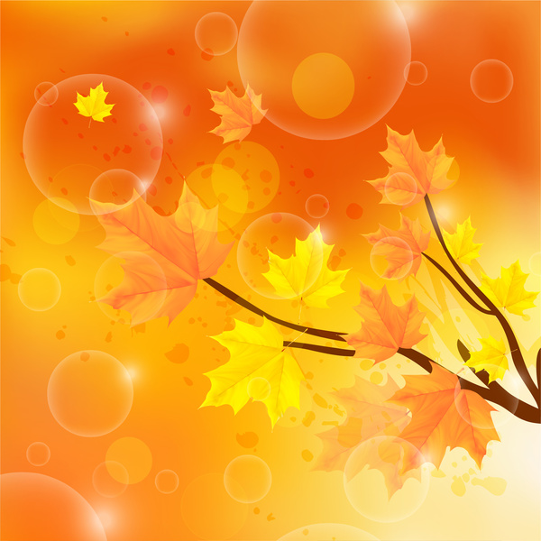 木の枝と葉の背景の秋の色