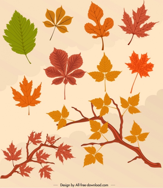 elementi di design autunno colorati foglie icone arredamento