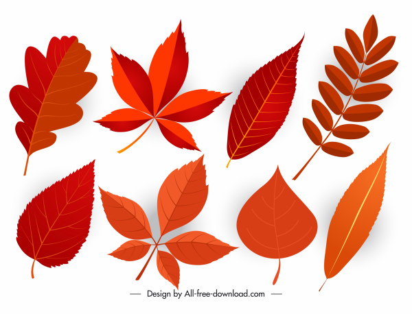 ícones da folha de outono moderno flat colorido esboço
