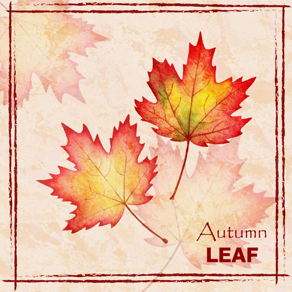 musim gugur daun maple latar belakang