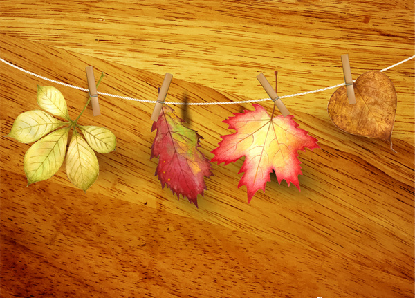 Осенний лист реалистичные на деревянных фоне