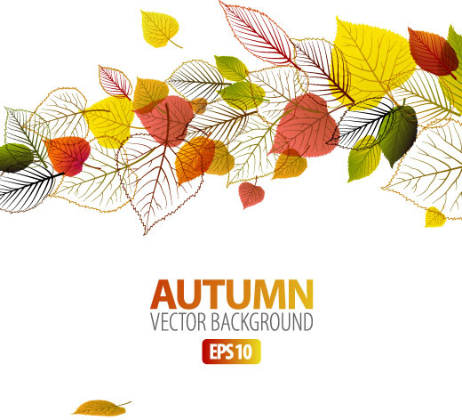 Hojas de otoño elementos background Vector Set