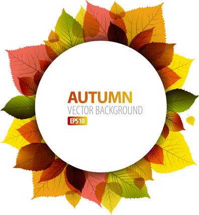 folhas de outono de fundo vector quadro
