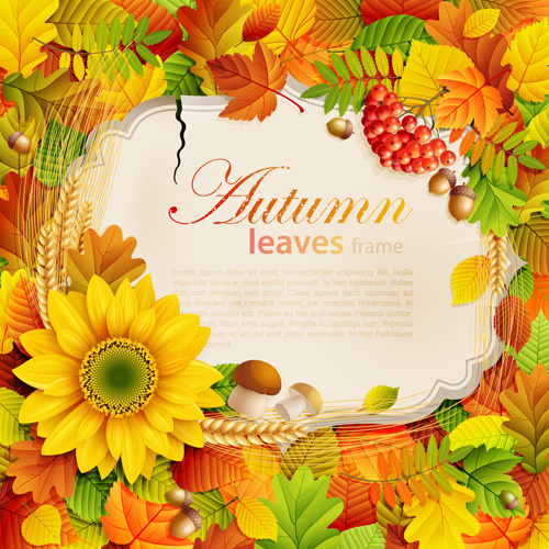 conjunto de vetores de quadro de folhas de outono
