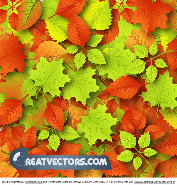folhas de outono de fundo vector