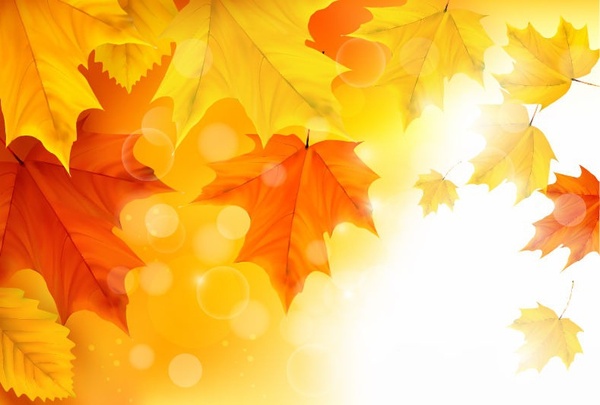 feuilles d’érable automne fond illustration vecteur
