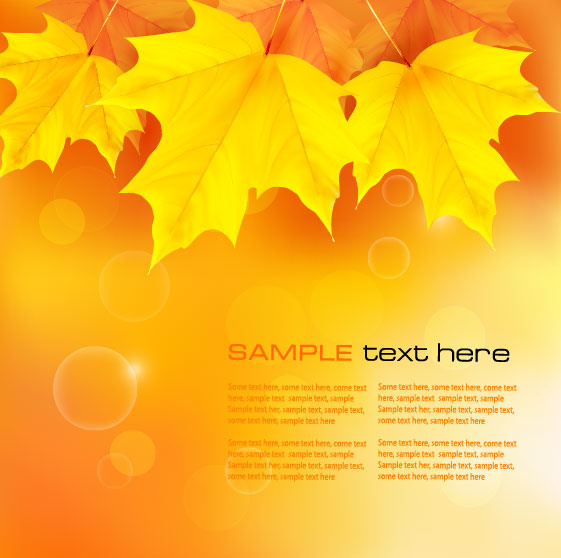 musim gugur daun maple latar belakang vector set