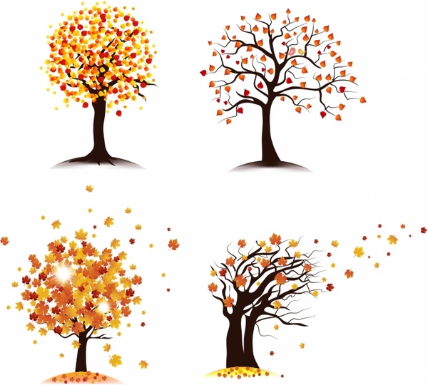 conjunto de árvore outono