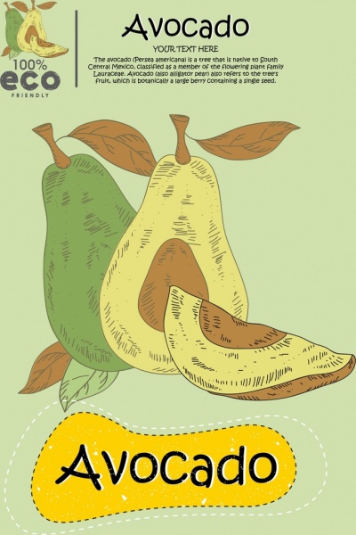 esboço de retrô colorido anúncio abacate