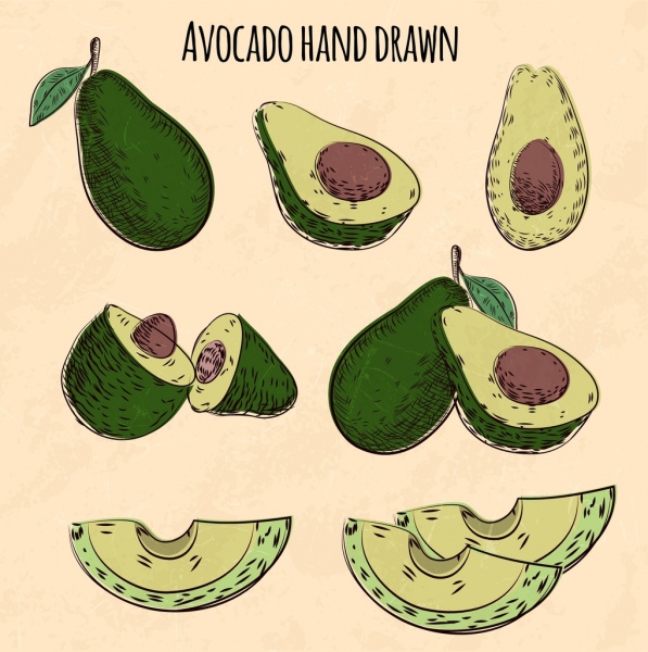 Avocado-Symbole Formen verschiedene 3d Hand gezeichnete Skizze