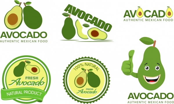 avocado logos verschiedene grüne formen isolation
