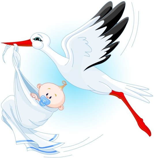 Детские рождения фон птица младенческой иконы мультфильм дизайн