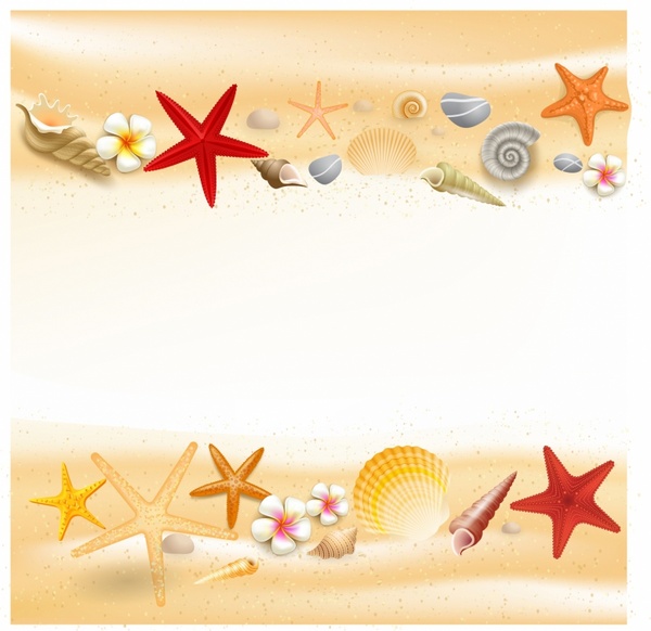 fundo com conchas e estrelas do mar