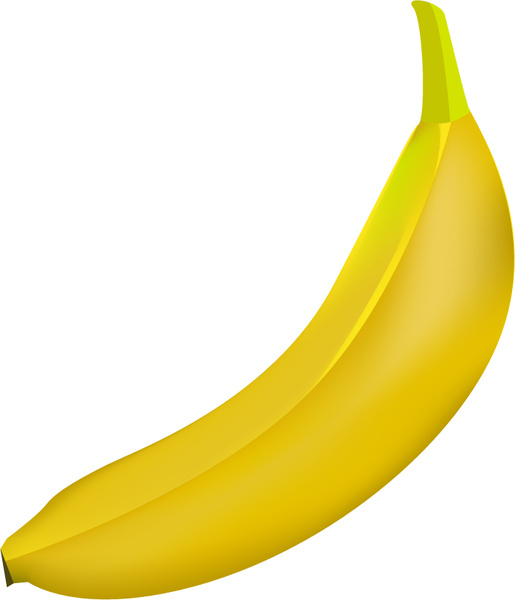 illustration de banane