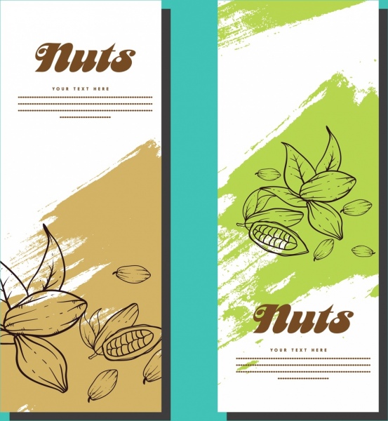Banner template sets nueces background dibujo hecho a mano