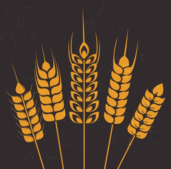 大麦黄暗背景图标设计