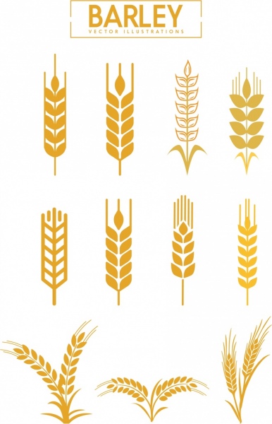 大麦のアイコンコレクションさまざまな茶色の平らな形