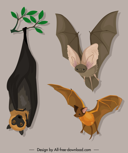 especies de murciélagos iconos gestos boceto diseño de dibujos animados