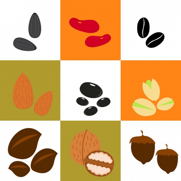 豆とナッツの背景の様々 な分離タイプ