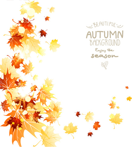 lindo Outono folhas fundo criativo vector