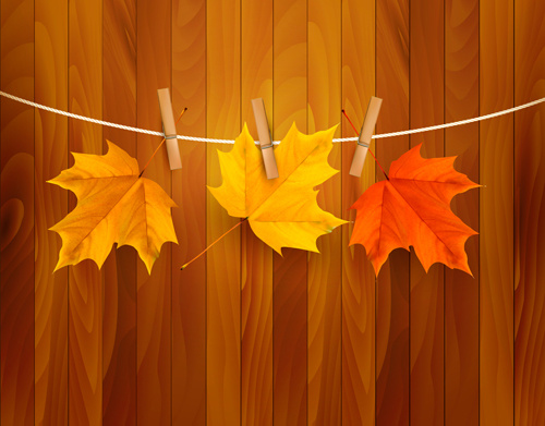 Beautiful Autumn Leaves Background Vector