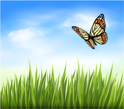 美しい蝶と緑の草のベクトルの背景