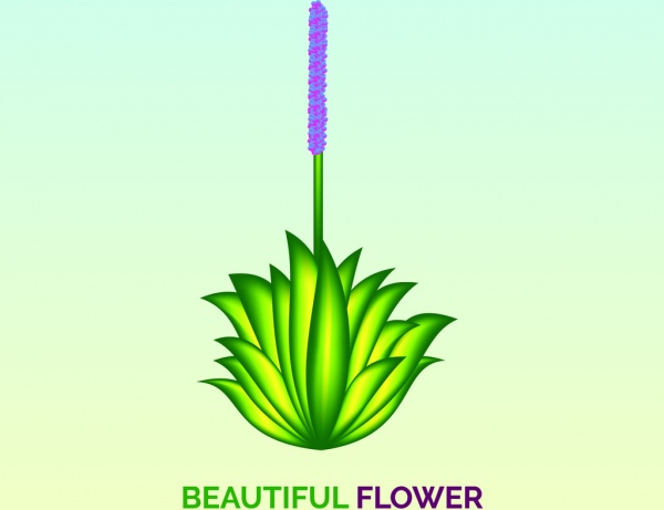 جميلة زهرة النبات