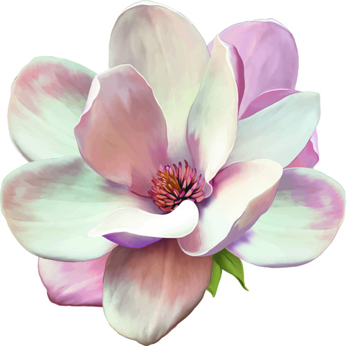 bela flor defina vetor