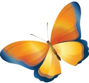 美丽的橙色和蓝色光泽蝴蝶设计自由矢量