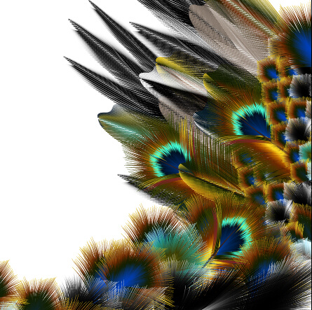 Hermosas plumas de pavo real gráficos de fondo
