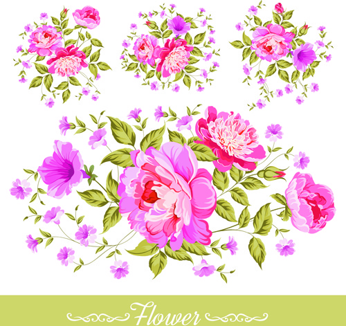 bella fiore rosa vettoriale