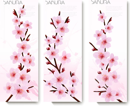 schöne rosa Blüten Vektor-banner