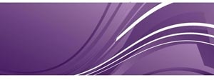 美しい紫色ライン バナー イラスト