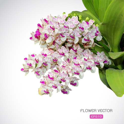 ungu indah dengan bunga putih vektor