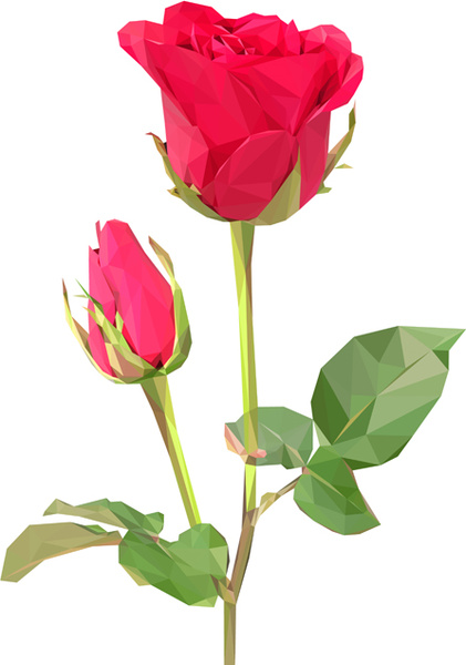 Beautiful Roses Vector -6