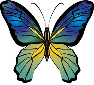 belle silhouette joli papillon bleu libre vecteur