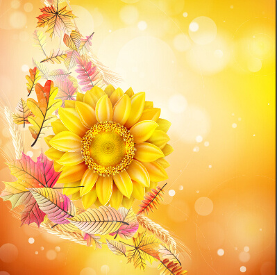 Xinh đẹp của vector nền vàng hoa hướng dương