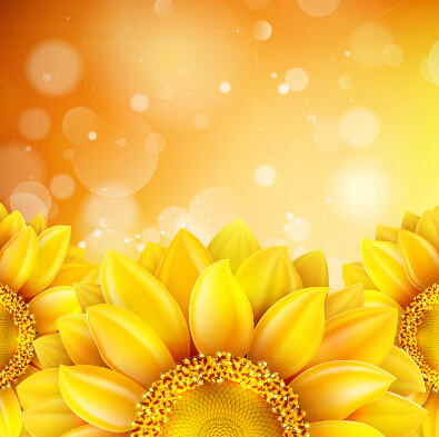 Terletak indah bunga matahari emas latar belakang vektor