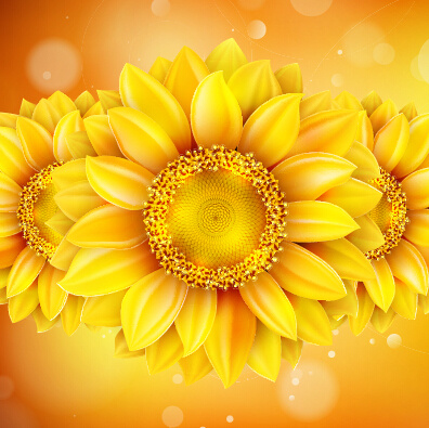 Terletak indah bunga matahari emas latar belakang vektor