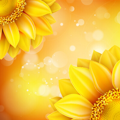 Xinh đẹp của vector nền vàng hoa hướng dương