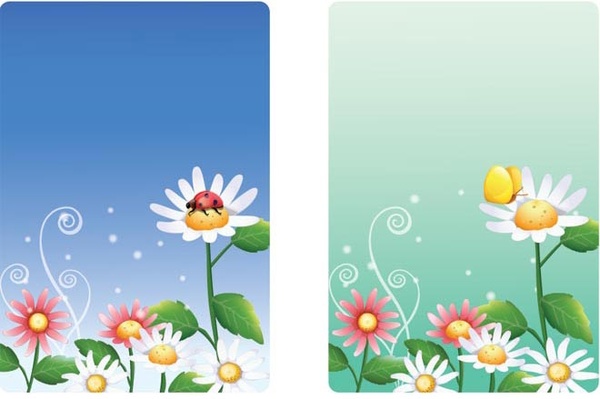 아름 다운 흰 꽃 인사말 카드 벡터 설정
