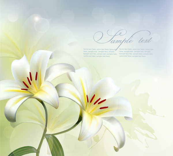 bunga putih yang indah vektor latar belakang